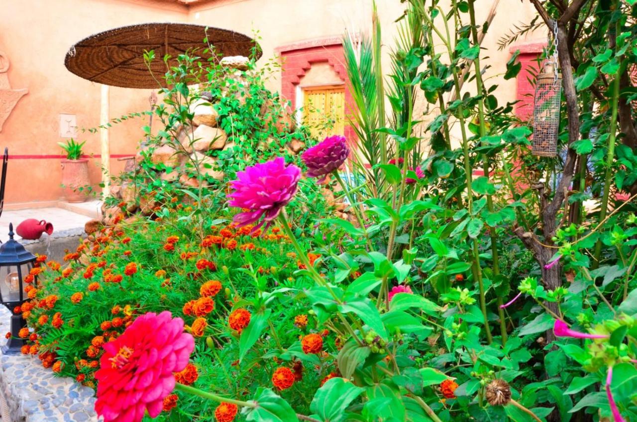 Kasbah Tussna Hotel Boumalne Kültér fotó